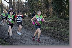 Begles 15.12.13 01 023 * 679 x 453 * (172KB)